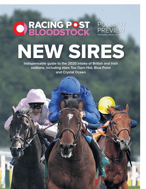 racing post bloodstock|racing post news desk.